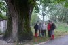 Pozreli sme si najstaršiu lipu v Žilinskom kraji - 400 rokov